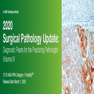 2020 Surgical Pathology Update Diagnostic Pearls for the Practicing Pathologist Vol. IV