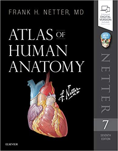 Atlas of Human Anatomy 7th Edition (Netter Basic Science Seventh ed/7e)