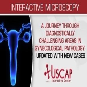 USCAP A Journey Through Diagnostically Challenging Areas in Gynecologic Pathology Updated with New Cases 2019