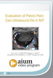 AIUM Evaluation of Pelvic Pain: Can Ultrasound Do It All?