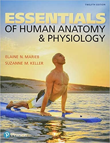 Essentials of Human Anatomy & and Physiology, [twelfth ed] 12th Edition